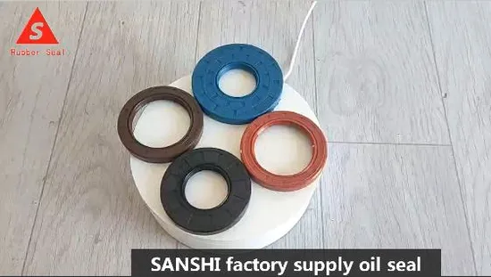 Tc Durable Oil Resistant Mechanical Hydraulic Shaft Pump Skeleton Framework Auto Double Lips Single Lip NBR FKM Silicone Rubber Parts Tc Tg Oil Seal with Spring 