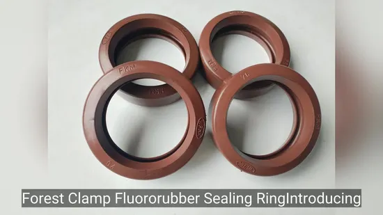 FKM Fluororubber Sealing Rings for 200° C High